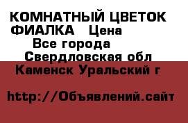 КОМНАТНЫЙ ЦВЕТОК -ФИАЛКА › Цена ­ 1 500 - Все города  »    . Свердловская обл.,Каменск-Уральский г.